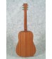 Martin Dreadnought Junior