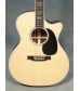 Martin GPC-Aura GT Grand Performance Cutaway Guitar with Case