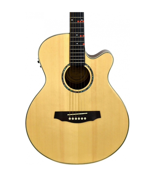 Fretlight FG-529 Pro Acoustic-Electric Guitar with Built-In Lighted Learning System Natural