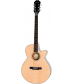 Cibson PR-4E Acoustic-Electric Guitar Player Pack Natural