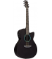 RainSong Concert Series CO-WS1000N2 Graphite Acoustic-Electric Guitar Carbon