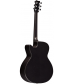 RainSong Concert Series CO-WS1000N2 Graphite Acoustic-Electric Guitar Carbon