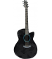 RainSong Black Ice Series BI-WS1000N2 Graphite Acoustic-Electric Guitar Carbon