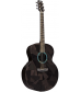 RainSong Black Ice Series BIJM1000N2 Graphite Acoustic-Electric Guitar