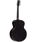 RainSong Black Ice Series BIJM1000N2 Graphite Acoustic-Electric Guitar