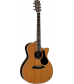 Alvarez Artist Series AG75CE Grand Auditorium Acoustic-Electric Guitar Natural