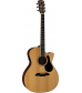 Alvarez Artist Series AG60CE Grand Auditorium Acoustic-Electric Guitar Natural