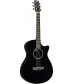 RainSong Shorty Acoustic-Electric Guitar High Gloss finish