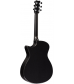 RainSong Shorty Acoustic-Electric Guitar High Gloss finish