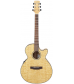 Mitchell MX400 Exotic Wood Acoustic-Electric guitar Quilted Ash Burl