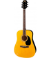 Rogue RD80 Dreadnought Acoustic Guitar