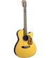 Blueridge Historic Series BR-163CE 000 Cutaway Acoustic-Electric Guitar