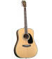 Blueridge Contemporary Series BR-70 Dreadnought Acoustic Guitar