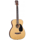 Blueridge Contemporary Series BR-42 000 Acoustic Guitar