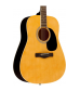 Rogue RD80PK Dreadnought Acoustic Guitar Pack