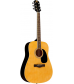 Rogue RD80PK Dreadnought Acoustic Guitar Pack