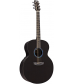 RainSong Concert Series Jumbo Acoustic-Electric Guitar Graphite