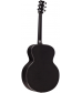 RainSong Concert Series Jumbo Acoustic-Electric Guitar Graphite