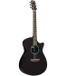 RainSong Concert Series Orchestra Acoustic-Electric Guitar Graphite