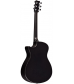 RainSong Concert Series Orchestra Acoustic-Electric Guitar Graphite