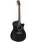 RainSong Black Ice Series Orchestra Acoustic-Electric Guitar Graphite