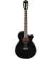 Ibanez AEG10NII Nylon String Cutaway Acoustic-Electric Guitar