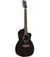 RainSong P14 6-string Parlor with 14-fret N2 neck Clear Gloss