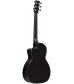 RainSong P14 6-string Parlor with 14-fret N2 neck Clear Gloss