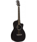 RainSong P12 6-String Parlor with 12-Fret NS Neck Clear Gloss