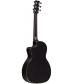 RainSong P12 6-String Parlor with 12-Fret NS Neck Clear Gloss
