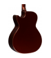 RainSong Concert Series CO-WS1005NS Acoustic-Electric Guitar