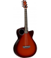 RainSong Concert Series CO-WS1005NS Acoustic-Electric Guitar