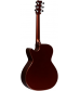 RainSong Concert Series CO-WS1005NS Acoustic-Electric Guitar