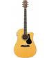 Alvarez RD27CE Dreadnought Acoustic-Electric Guitar Natural