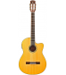 Alvarez RC26HCE Classical - Hybrid Acoustic-Electric Guitar Natural