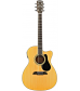 Alvarez RF27CE OM/Folk Acoustic-Electric Guitar Natural