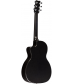 RainSong NP12 Nylon String Acoustic-Electric Guitar Black