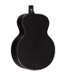 RainSong Rainsong JM1000N2  AE Jumbo W/N2 Neck &amp; Plus-T Black