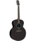 RainSong Rainsong JM1000N2  AE Jumbo W/N2 Neck &amp; Plus-T Black