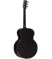 RainSong Rainsong JM1000N2  AE Jumbo W/N2 Neck &amp; Plus-T Black