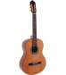 Giannini GNC-1CDR Solid Cedar Top Classical Guitar Natural