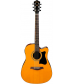 Ibanez V70CE Acoustic-Electric Cutaway Guitar