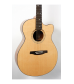 PRS SE Alex Lifeson Thinline Acoustic-Electric Guitar Natural