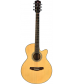 Fretlight FG-5 Acoustic-Electric Guitar with Built-In Lighted Learning System Natural