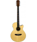 Fretlight FG-529 Pro Acoustic-Electric Guitar with Built-In Lighted Learning System Natural
