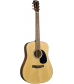 Blueridge Contemporary Series BR-40A Dreadnought Acoustic Guitar Natural