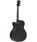 RainSong Smokey All-Carbon Stagepro Anthem Acoustic-Electric Guitar Dark Satin