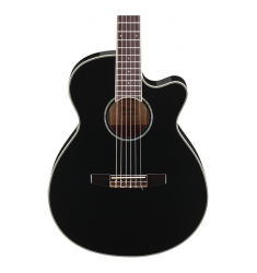 Ibanez AEG10NII Nylon String Cutaway Acoustic-Electric Guitar