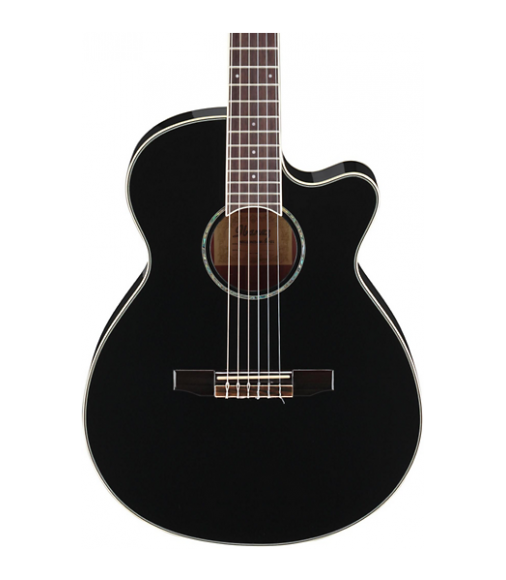 Ibanez AEG10NII Nylon String Cutaway Acoustic-Electric Guitar
