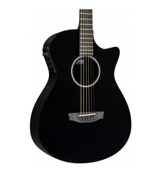 RainSong Shorty Acoustic-Electric Guitar High Gloss finish